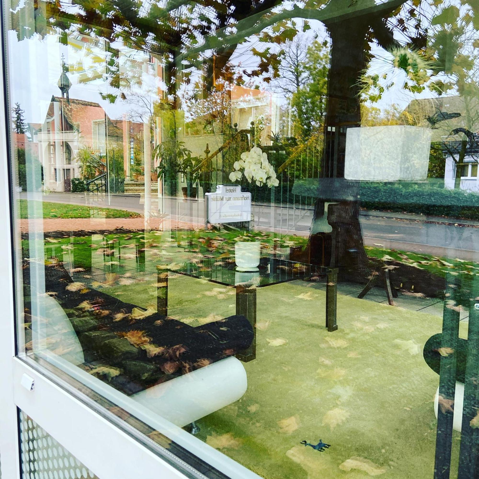 Hotel Hofmann Zur Muehle Бад Кроцинген Екстериор снимка